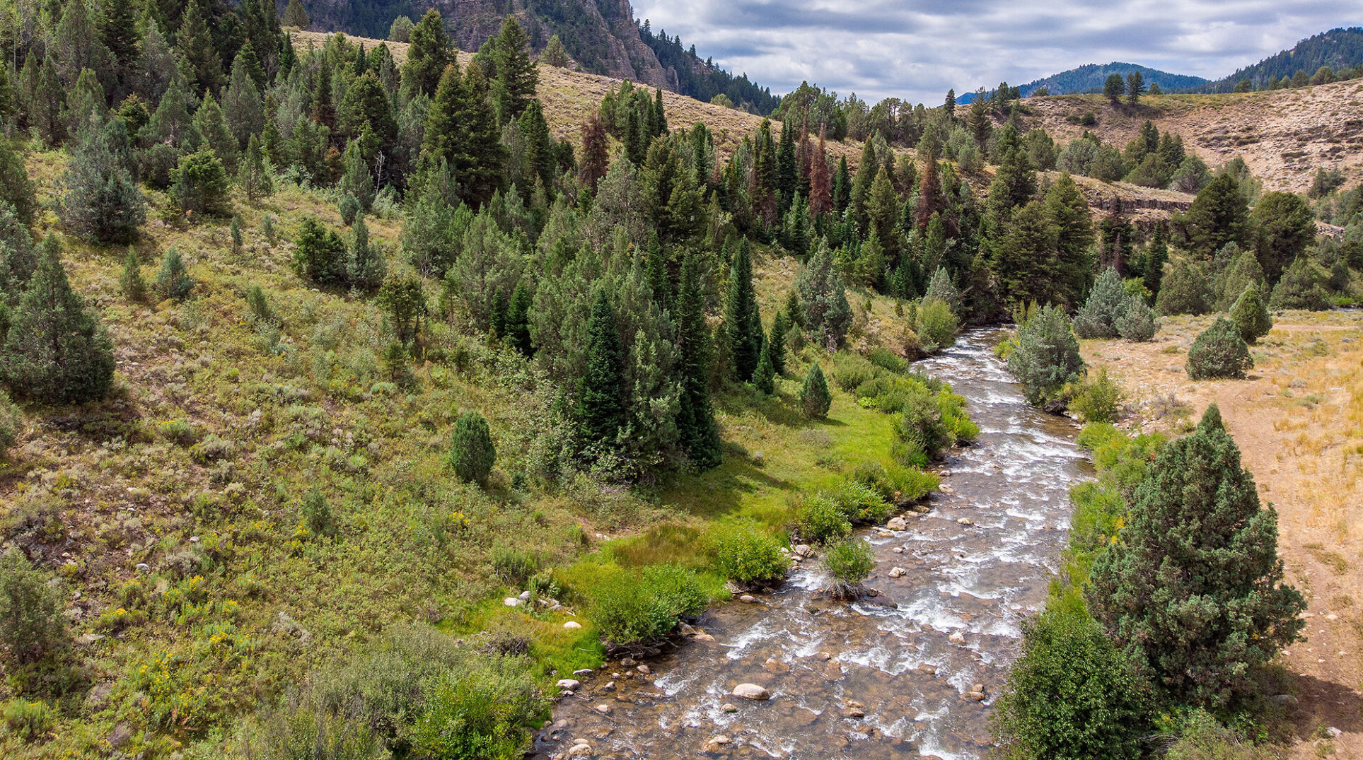 Juniper thinning in Logan Canyon aims to reduce wildfire risk and restore watershed
